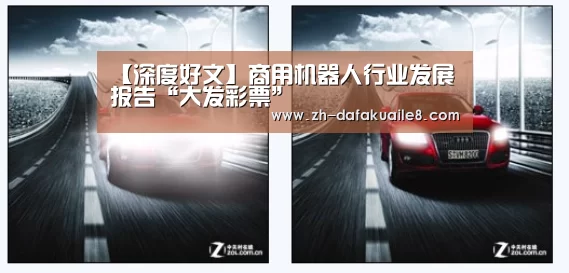 【深度好文】商用机器人行业发展报告“大发彩票”(图4) 大发彩票
