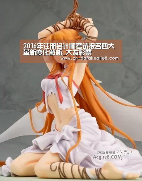 2016年注册会计师考试报名四大革新变化解析_大发彩票(图1) 大发彩票